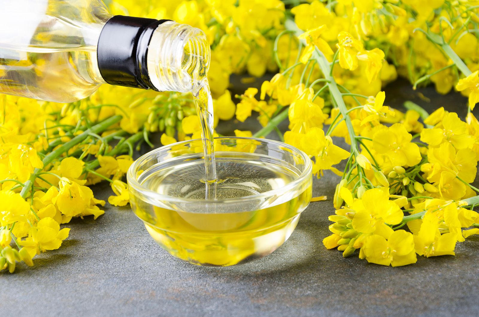 Línea de Producción de Aceite de Colza MCRAYONE