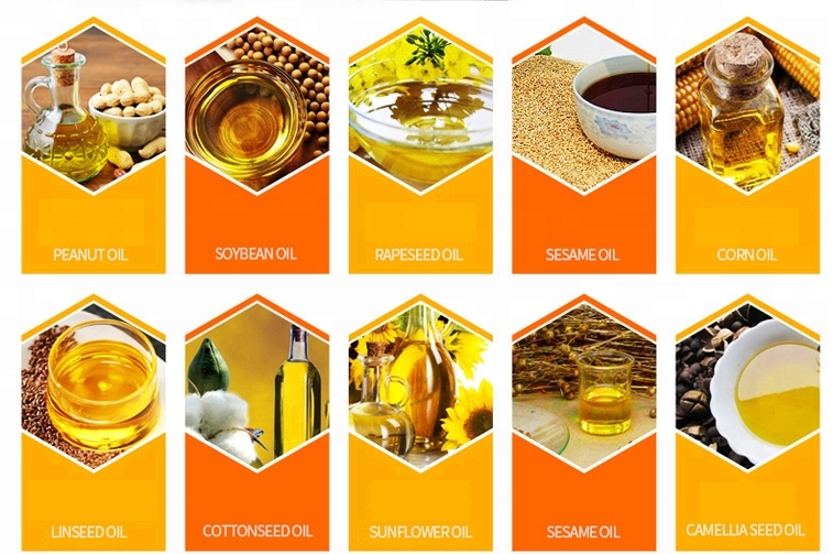 Contenido de Aceite de Semillas Oleaginosas Comunes: Guía de Referencia