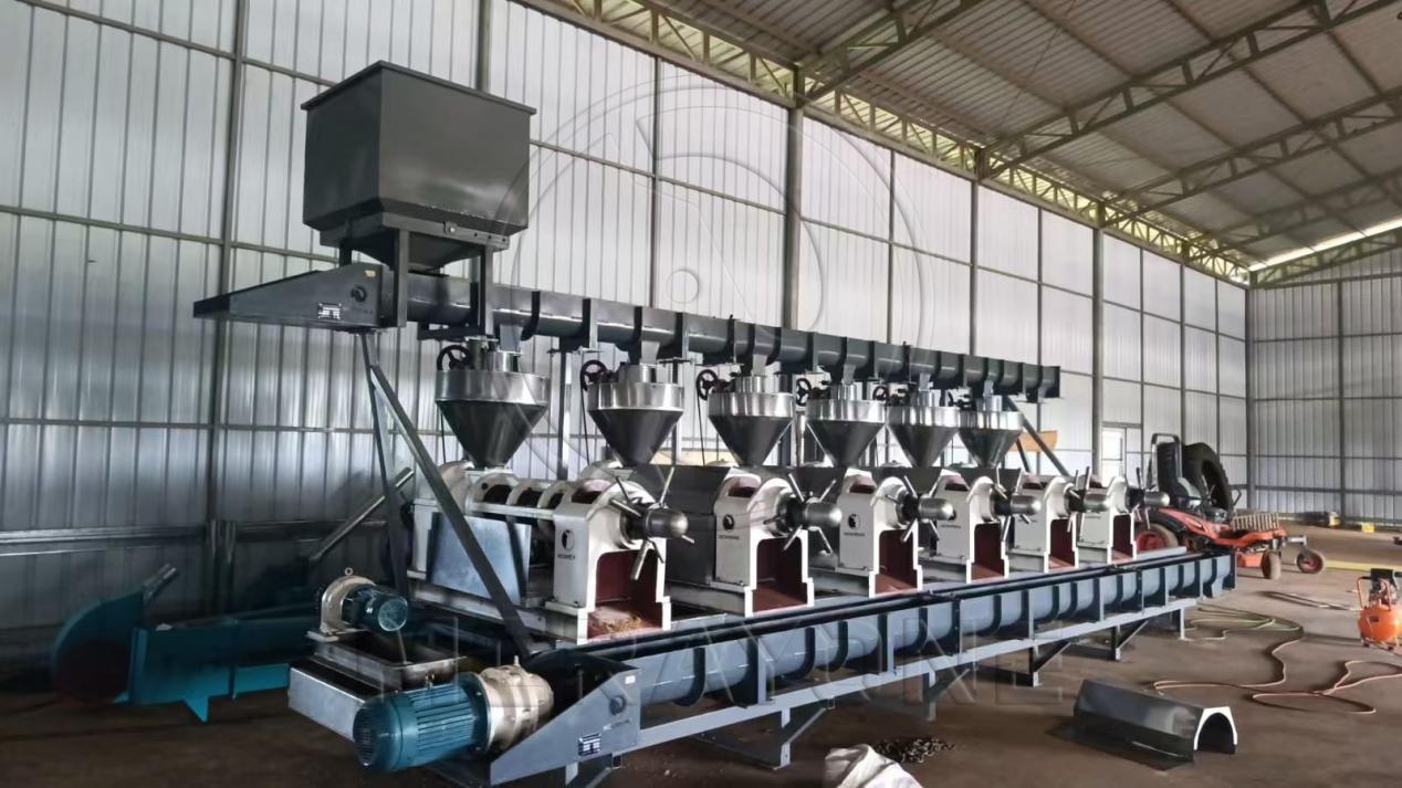 Transportador de tornillo horizontal para múltiples unidades de prensas de aceite