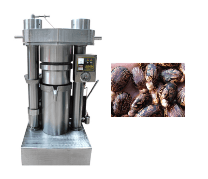 Prensa hidráulica para aceite de semillas de ricino