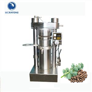 Máquina de prensa de aceite de semillas de ricino