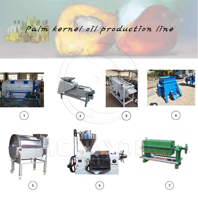 Línea de producción de palmiste