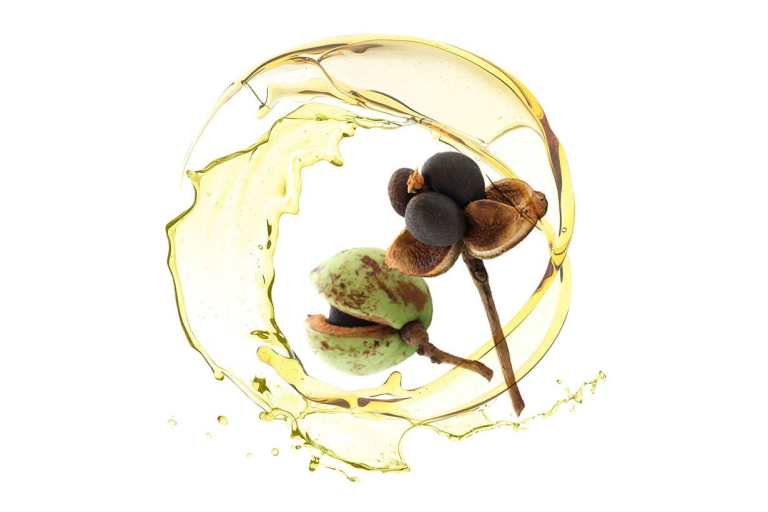 Ingredientes comunes del aceite comestible
