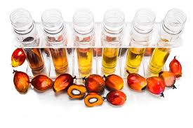 Equipo de decoloración de refinería de aceite de palma