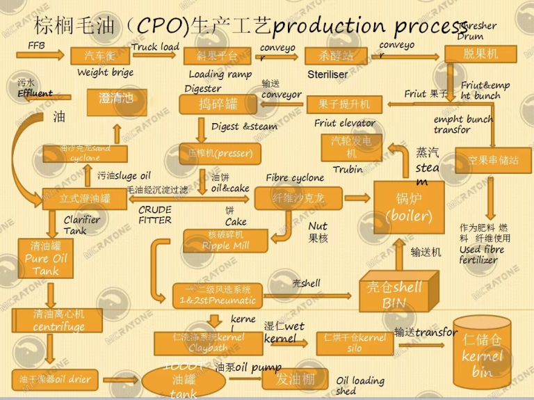 Proceso de extracción de aceite de palma