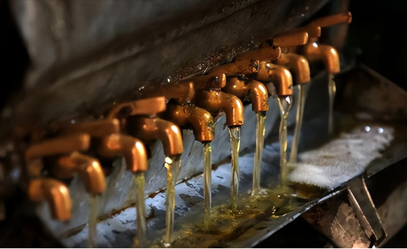 Selección de aceite lixiviado y aceite prensado