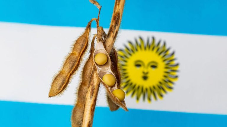 Las exportaciones de aceite y harina de soja de Argentina disminuirán