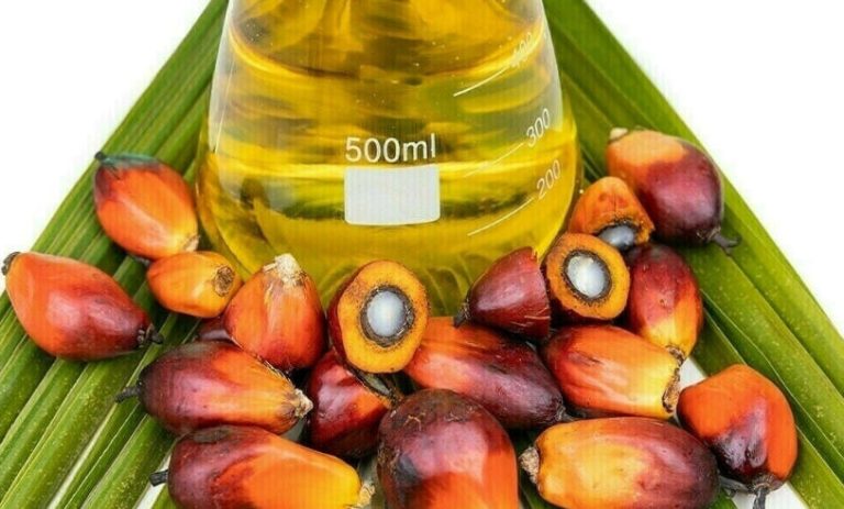 La demanda de biocombustibles influye en el precio del aceite de soja y el aceite de palma