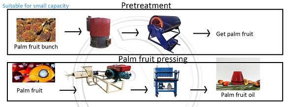 Línea de producción de frutos de palma