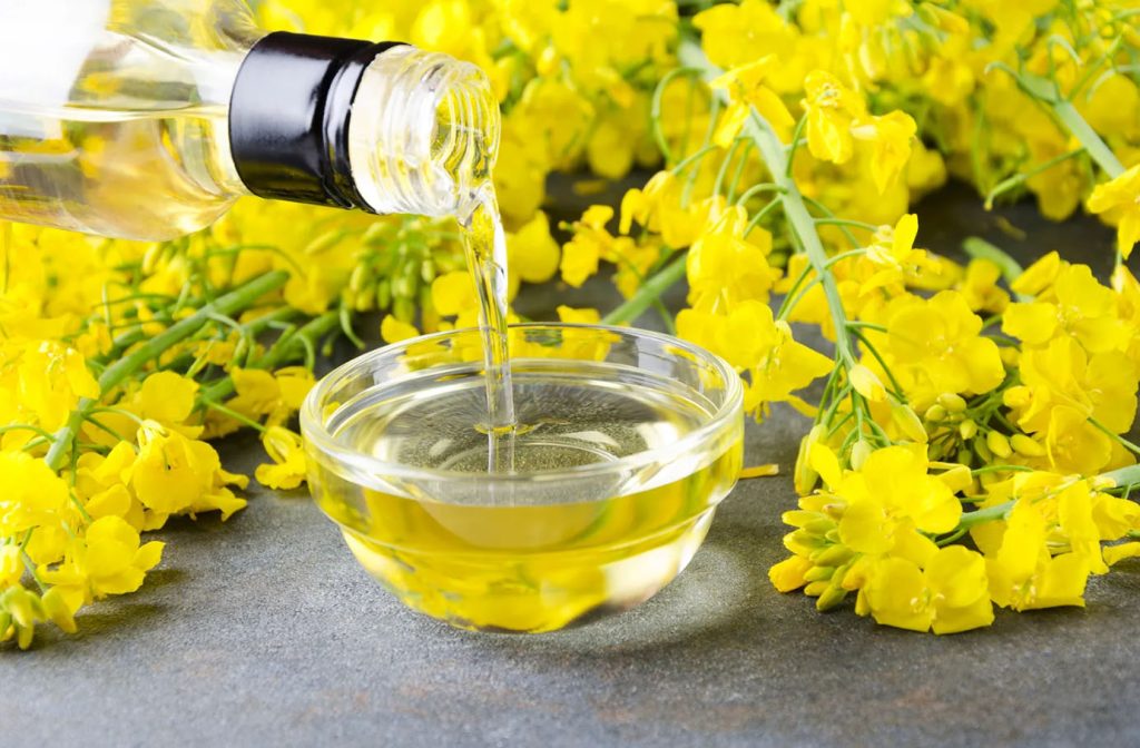 Línea de Producción de Aceite de Colza