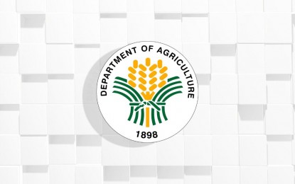 El Departamento de Agricultura de Filipinas intensifica su campaña para reducir las importaciones de aceite de palma en Mindanao