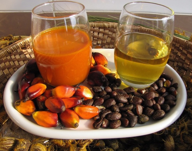Prensas de aceite de alta eficiencia para fruta y palmiste