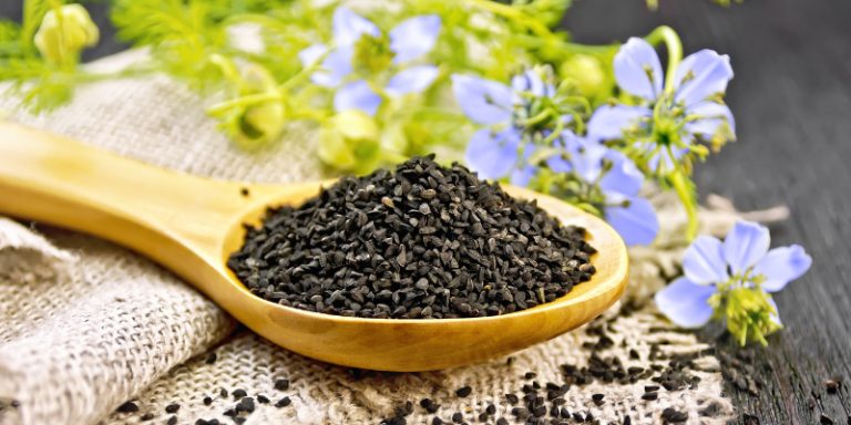 Línea de producción de prensado de aceite de semillas de Nigella sativa