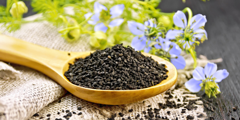 Línea de producción de prensado de aceite de semillas de Nigella sativa