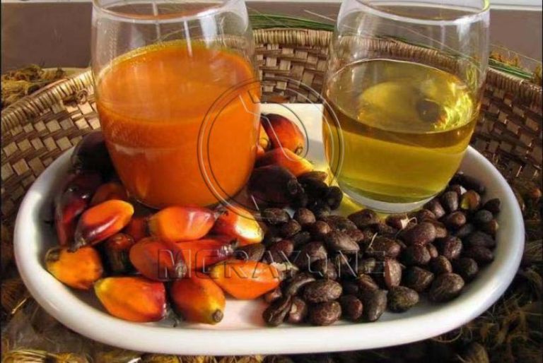 ¿Por qué se recomienda prensar los frutos de la palma en las 24 horas siguientes a la recolección?