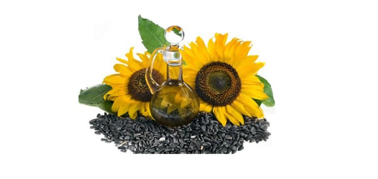 Máquina de prensado de aceite de semilla de girasol