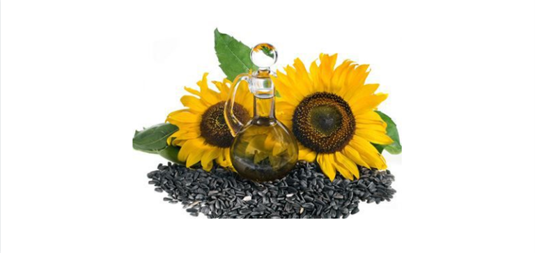 Línea de producción de aceite de girasol