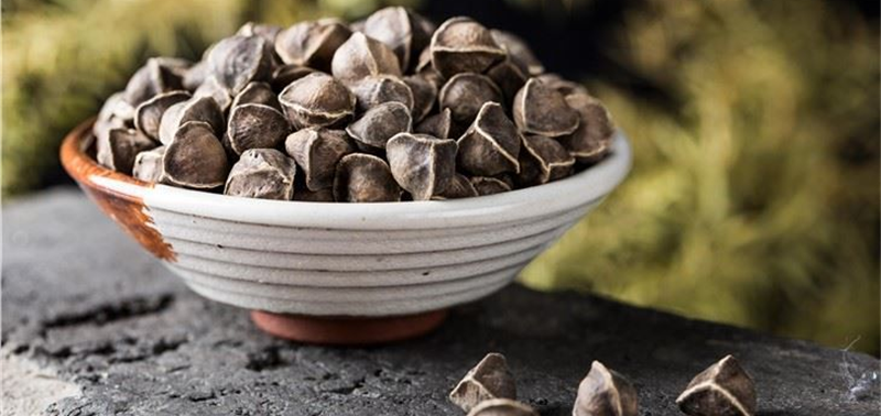 Línea de producción de aceite de semilla de moringa