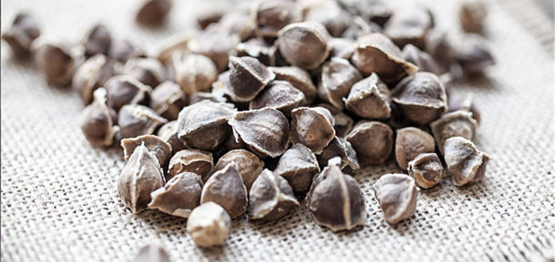 Línea de producción de aceite de moringa