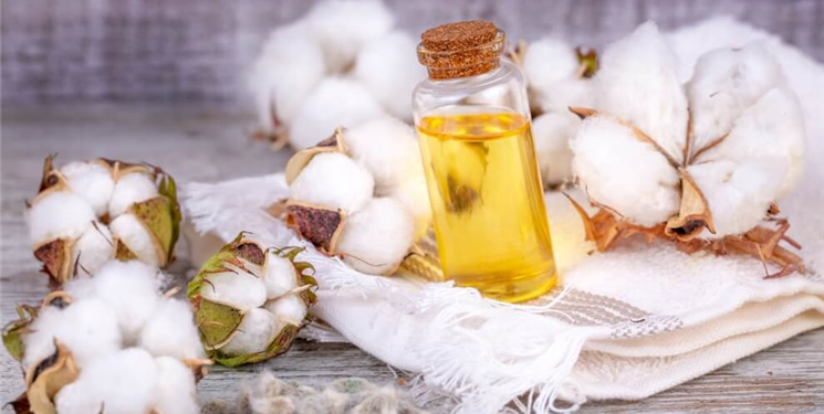 Línea de producción de aceite de semilla de algodón