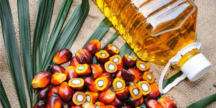Planta de refinería de aceite de palma
