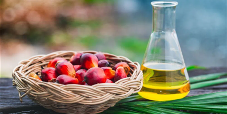 línea de producción de aceite de palma