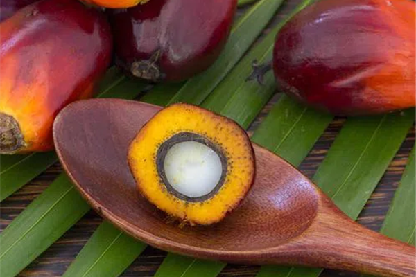 Derivados del aceite de palma y sus aplicaciones