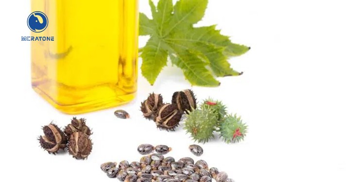 Línea de producción de pretratamiento y prensado de semillas de ricino