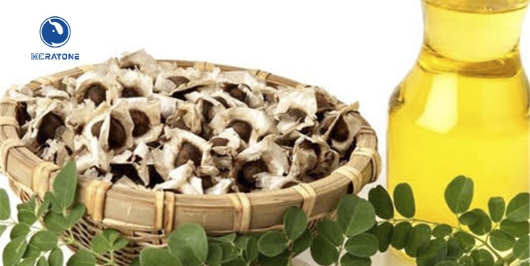 Proceso de producción de aceite de semilla de moringa
