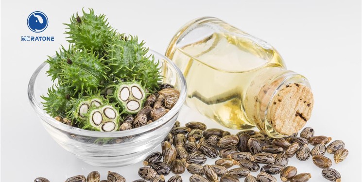 Prensa de aceite de ricino